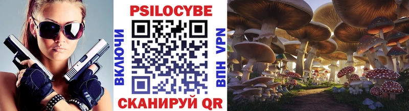 Галлюциногенные грибы Psilocybe  Грязовец 